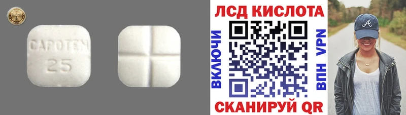 как найти закладки  Завитинск  Лсд 25 экстази ecstasy 