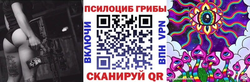 купить закладку  Завитинск  Галлюциногенные грибы Psilocybe 